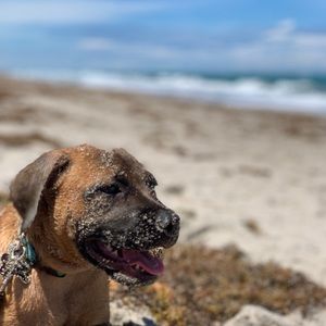 Meet your Posher, Gen